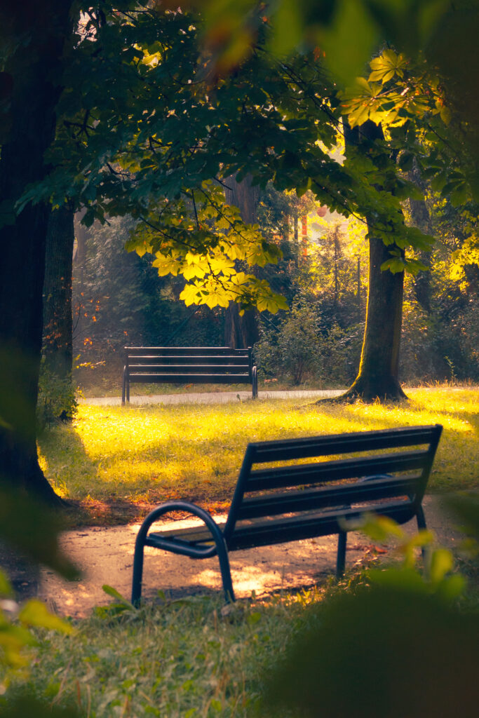 Zdjęcie przedstawia park w ciepły pogodny dzień i dwie ławki