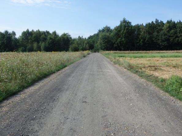 Obraz prezentujący drogę szutrową