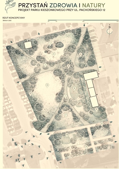 Mapa koncepcji zagospodarowania terenu przy ul. Pachońskiego 12