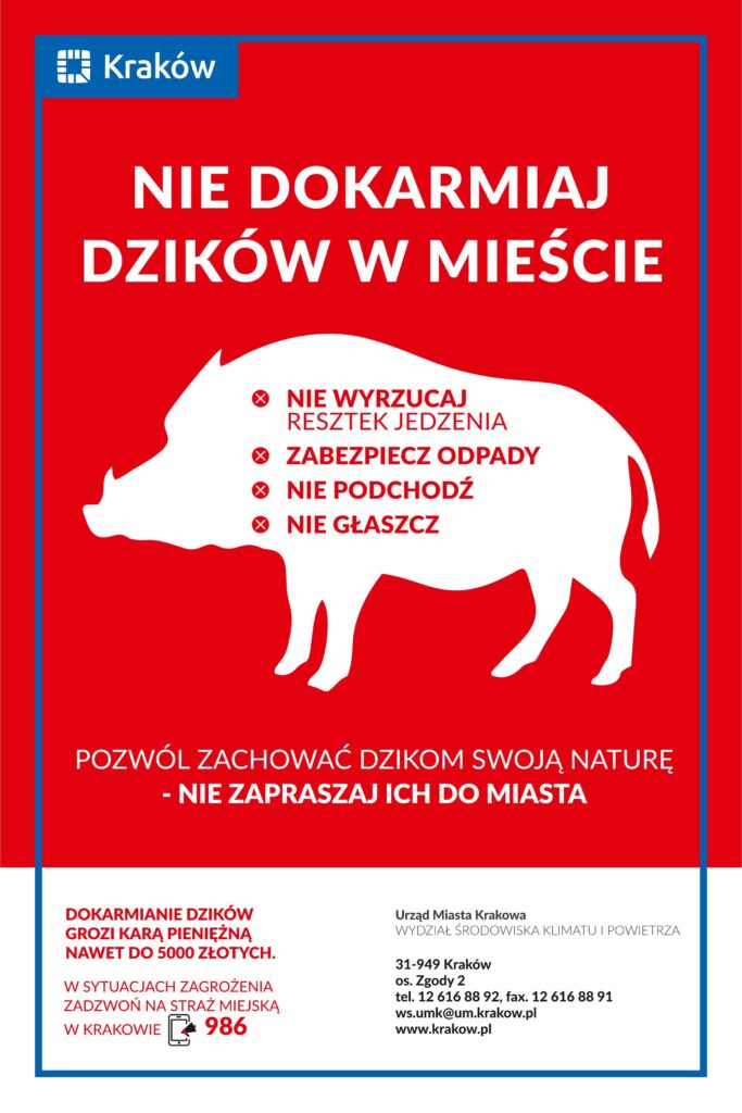 Plakat informujący na temat postępowania w przypadku spotkania z dziką zwierzyną